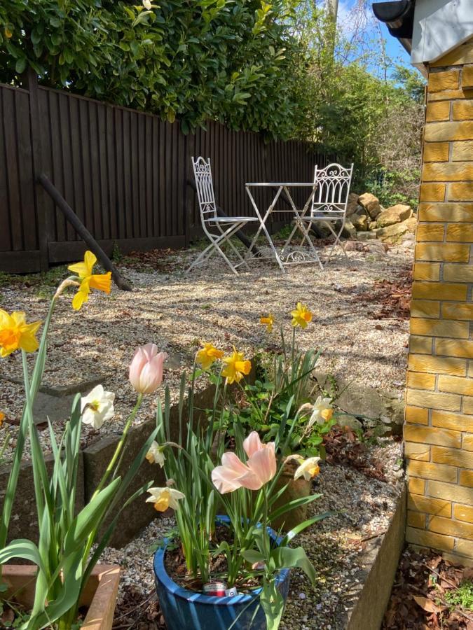 Swallow Cottage Castle Cary Esterno foto